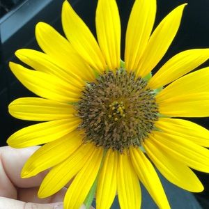 Meet your Posher, Alyssa